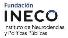 Instituto de Neurociencias y Políticas Públicas